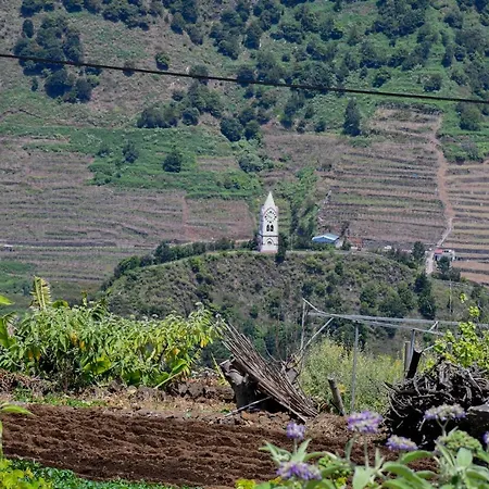 Casa Do Cantinho Do Muro *